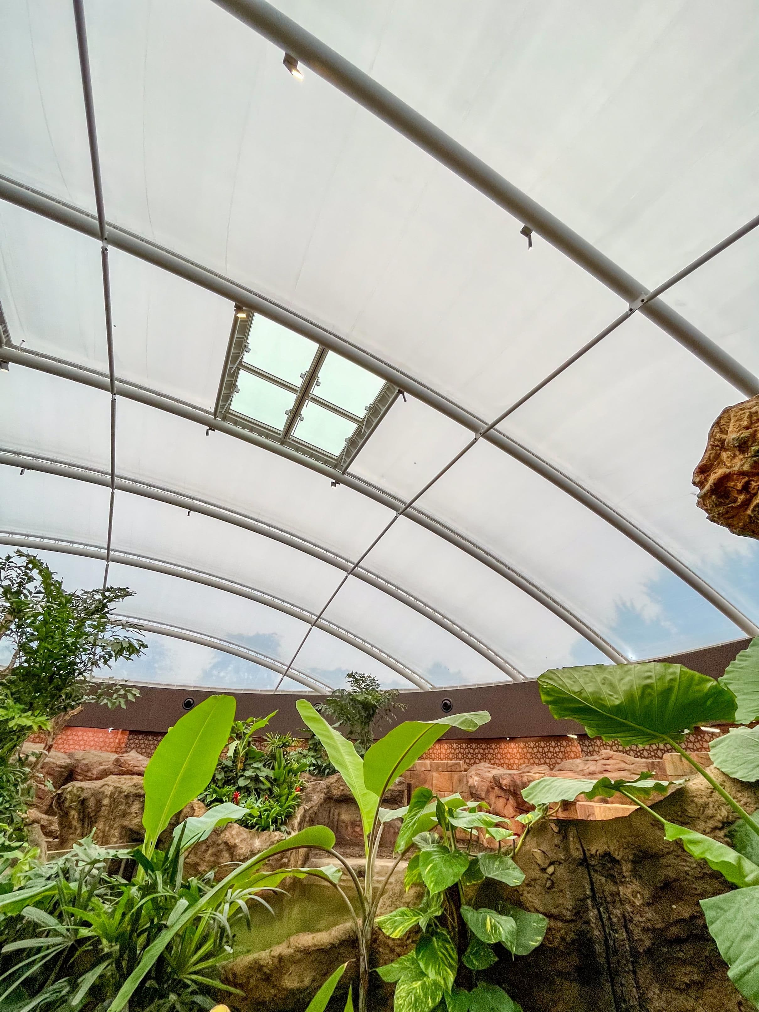 Innenraumaufnahmen der Nashorn-Pagode im Berliner Zoo mit lichtdurchfluteter Membrankuppel, integrierter Schienenbeleuchtung an Stahlträgern und tropischer Bepflanzung mit Natursteinelementen, Leuchtendesign Susanne Philippson
