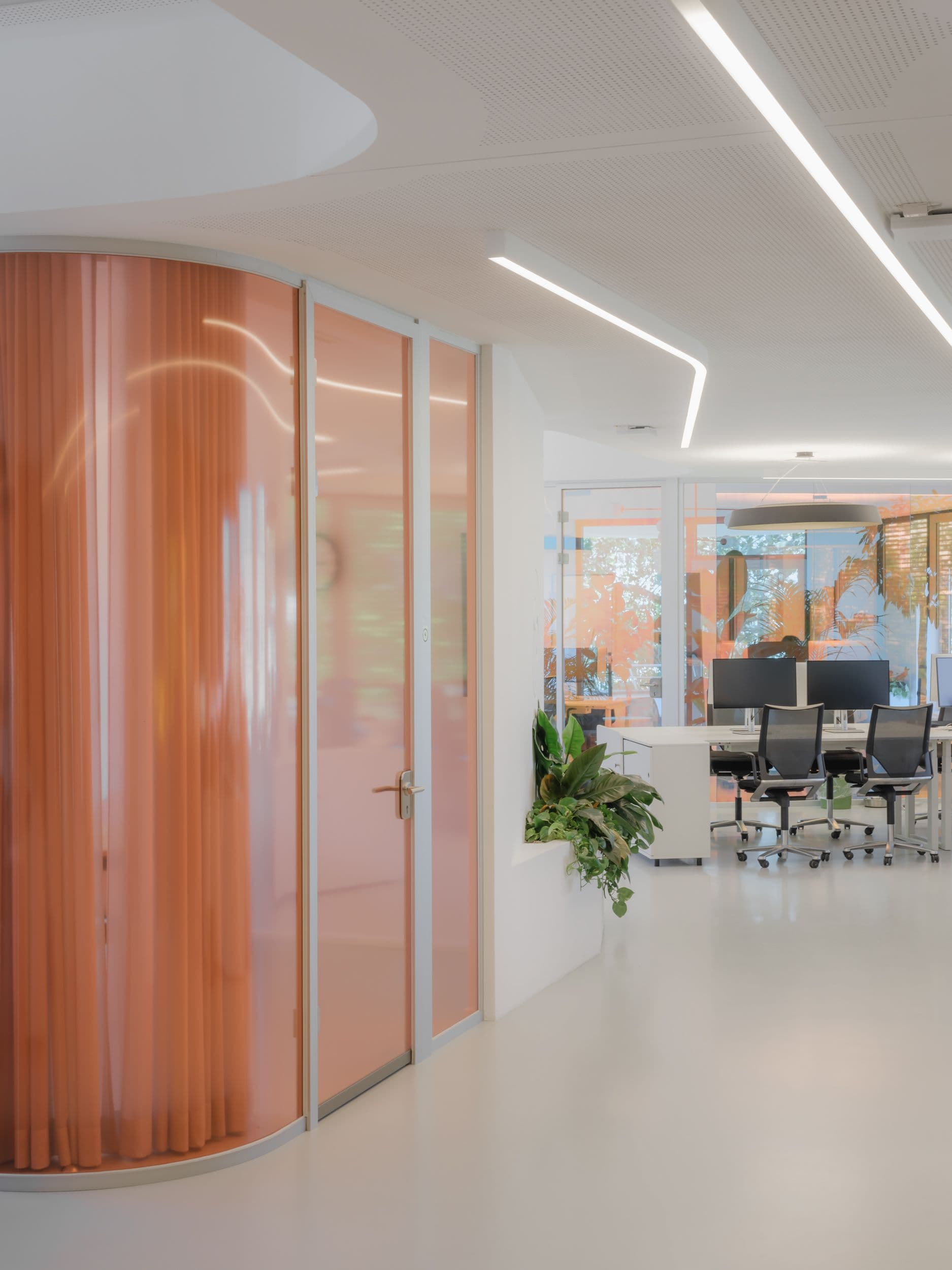 Gebogene Glastrennwand in Orange mit Blick in den offenen Bürobereich im Projekt Formo Frankfurt